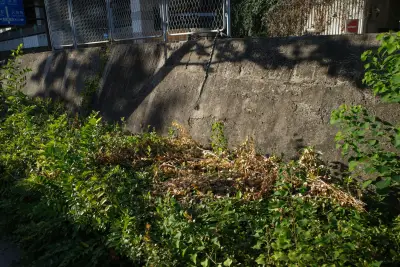 法面や傾斜地の草刈り