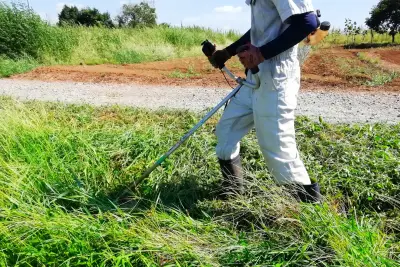 空き地の草刈りと管理作業
